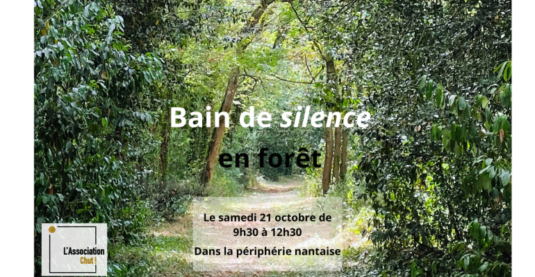 Bain De Silence En Forêt (2)